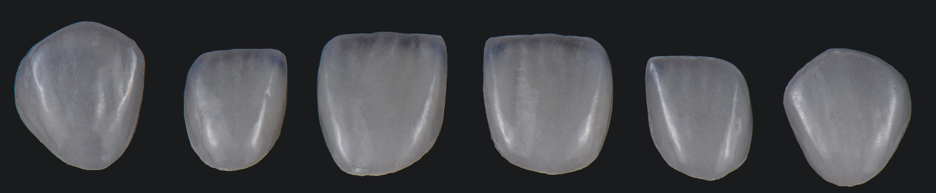 Properties similar to natural teeth
